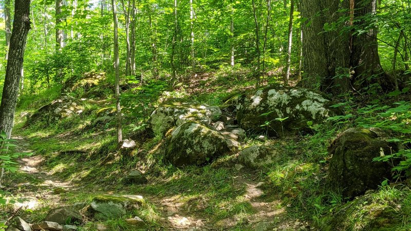 Looking back at an optional line with rocky climb and boulder drop