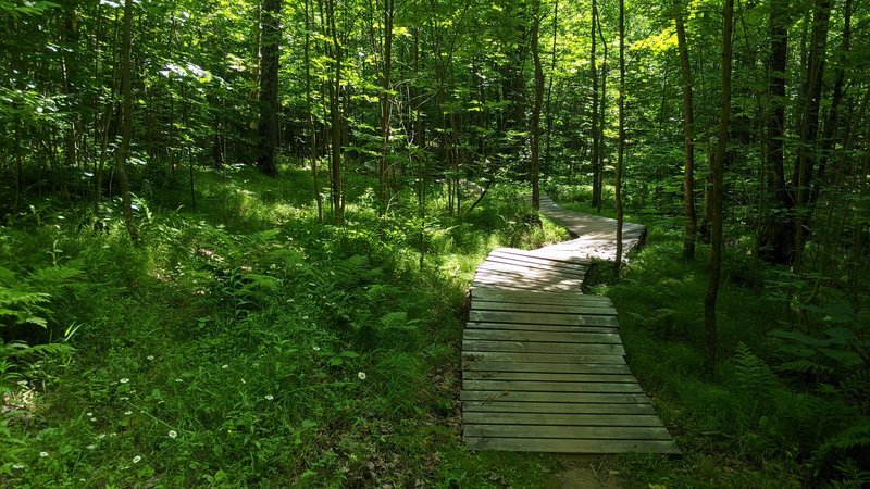 The flowy, pump track style, wooden boardwalk is a pretty unique feature for this area.