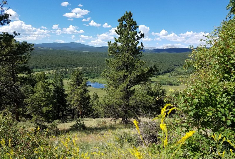 Caribou Open Space from CR #103