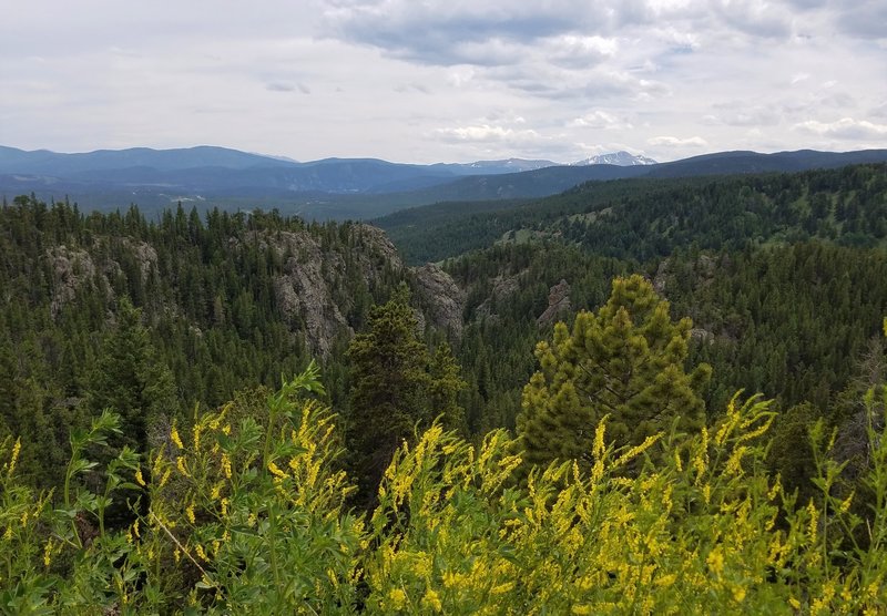 The Divide from Peak to Peak Highway