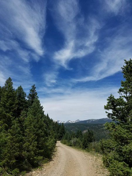 Up Fourmile Canyon.