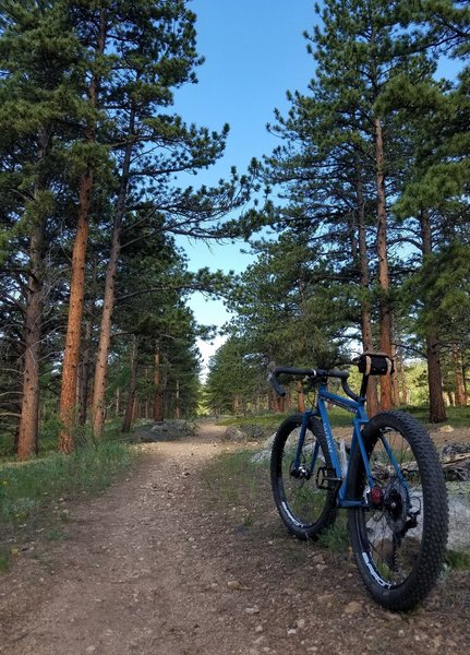 Climbing from Mud Lake