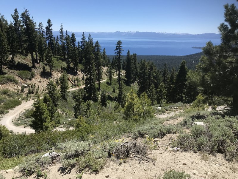 Near the top of the dirt/gravel road.