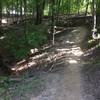 Facing south uphill towards a set of switchbacks.