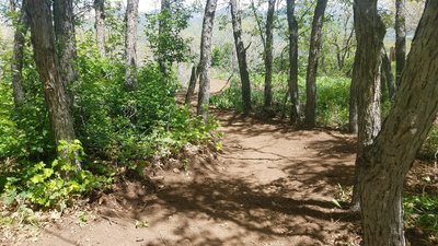 Shaded section of Twist