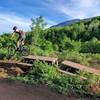 Picnic Bench feature