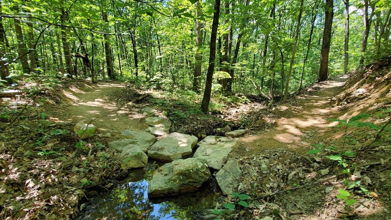 Creek crossing on at the bottom of the Quarantine Trail next to the Prologue intersection