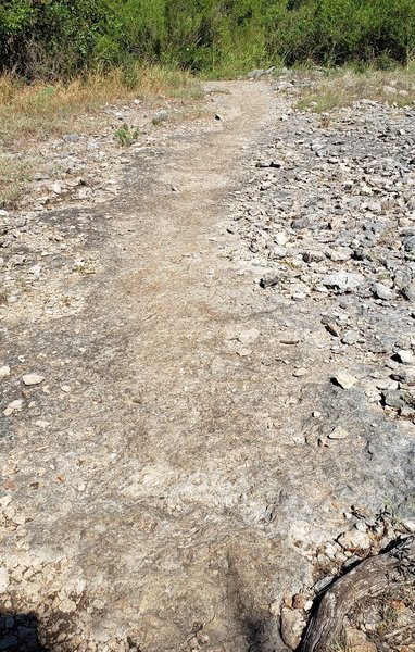 NE section of Goodwater Loop between Overlook & Hogg Park