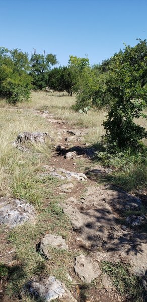 Rock garden between The Overlook & Hogg Park NE side of Goodwater Loop