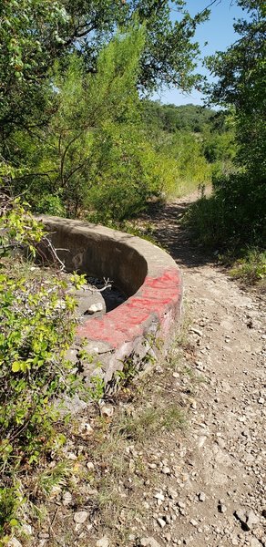 Trail segment between The Overlook & Hogg Park at Goodwater Loop