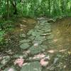 Nice rock garden on Accotink Loop