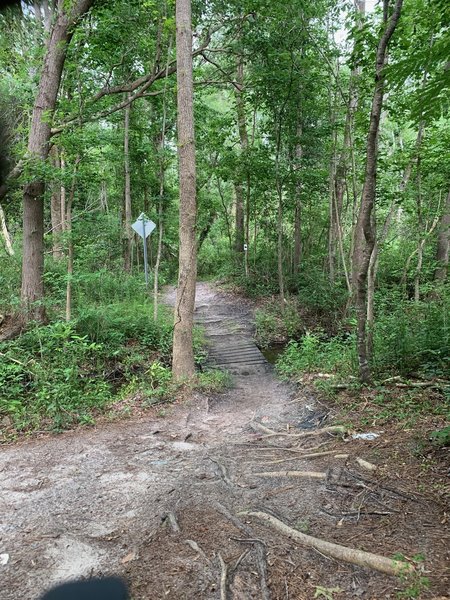 one of several creek ladder bridges