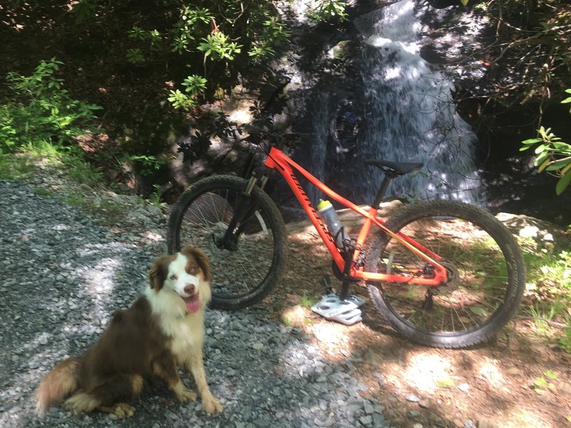 Falling water on the gravel trail out