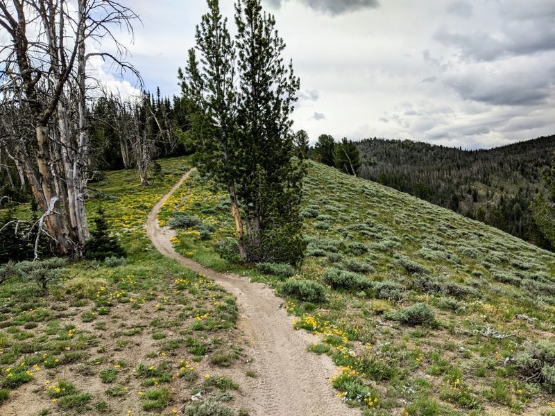 Starting the ridge crossing