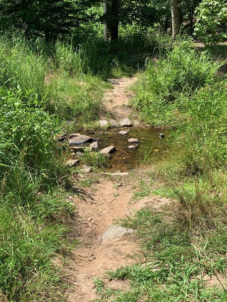 One of two creek crossings at south end of trail loop.