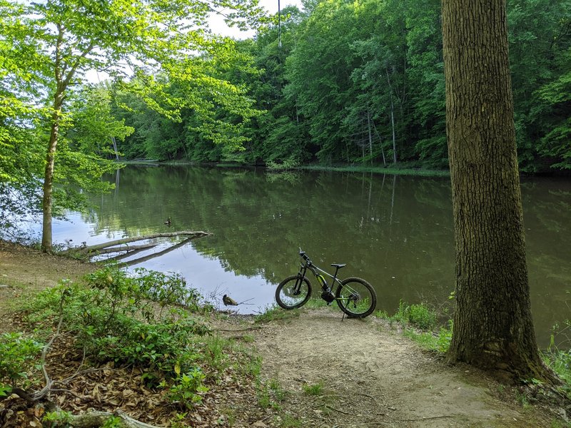 Lots of opportunities to get close to water just off the main trail.