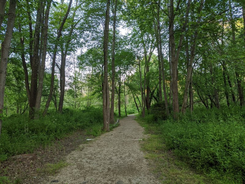 The trail is wide and easy.