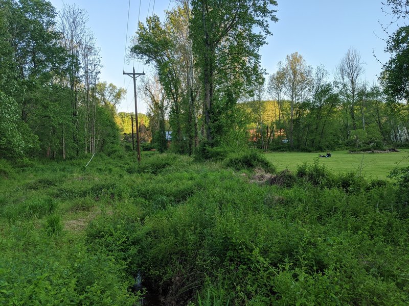 One of the views from the trail.