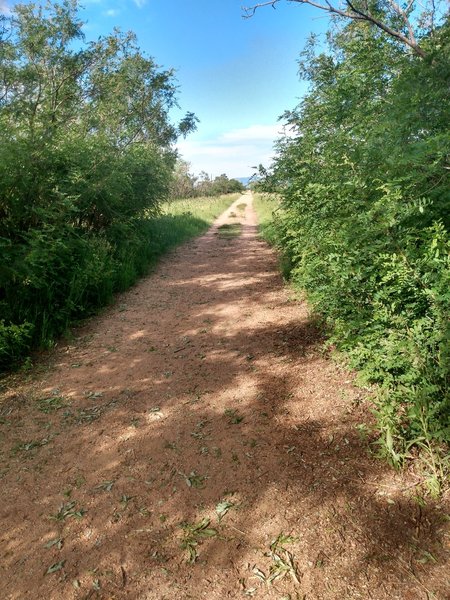 Rock Island Regional Trail