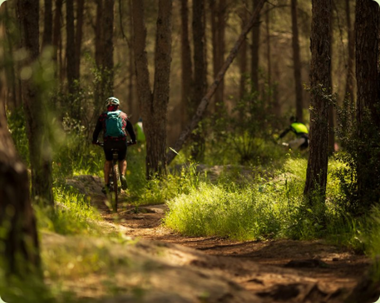 Singletracks