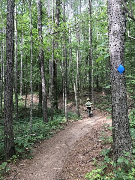 Summer evening ride on the smooth and flowy Blue Trail.