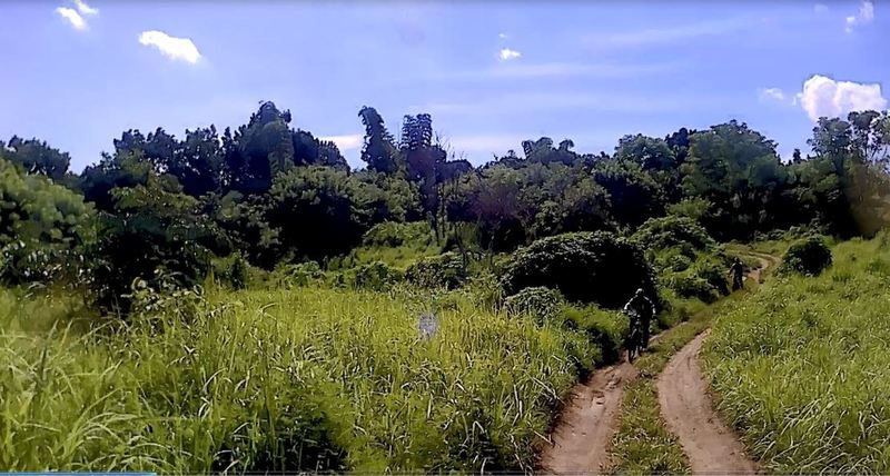 Some downhill part of the trail.