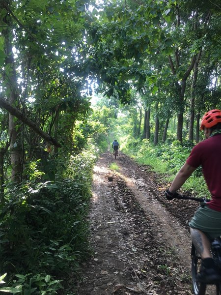 Hermosa Orani Trail, Team Trebalak, Freeride, Downhill.