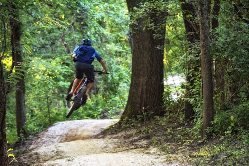 Plenty of ways to ride the rollers at Creekside.