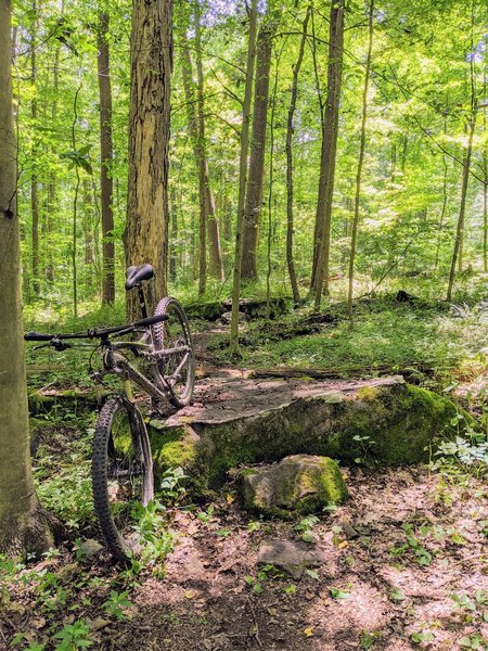 There are 22 boulder features on this trail, this one is more manageable.