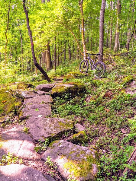 Nice rock section before the rocky switchbacks.