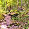 Nice rock section before the rocky switchbacks.