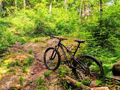 A berm from mother nature.