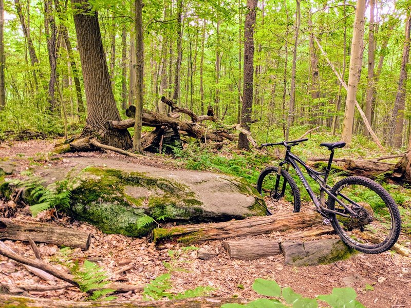 Fun boulder on your way to the super technical trailheads.