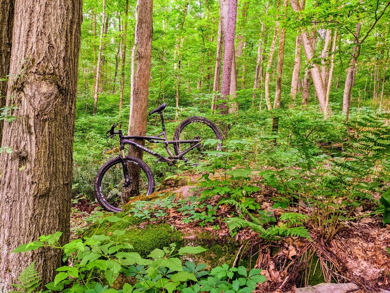 Riding boulders at moraine.