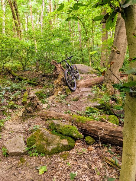 A set of boulders and log bridges between them.