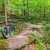 A nice set of boulders, one of the most fun downhill trails, not as technical.