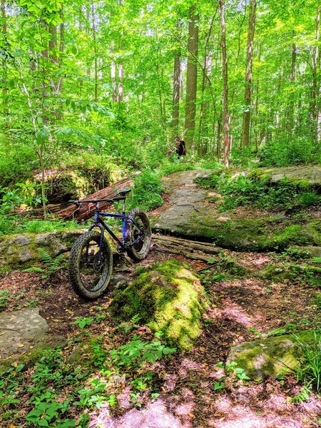 Other side of the boulder section on this trail with multiple lines.