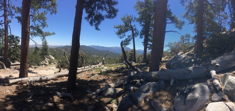 On top of John Bull and looking South-East at San Gorgonio Mountain.