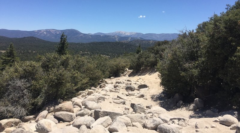 Downhill on John Bull, looking at Big Bear Ski resort and San Gorgonio mountain in the far distance.