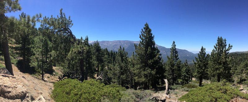 At Grand View Point looking east.