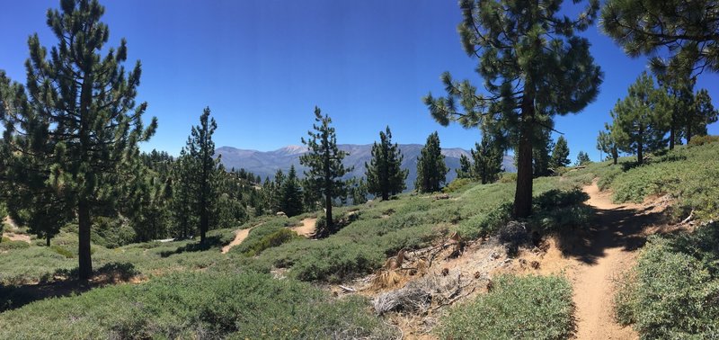 Skyline Trail going west.