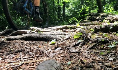 Mountain Bike Trails near Oakley Corners State Forest