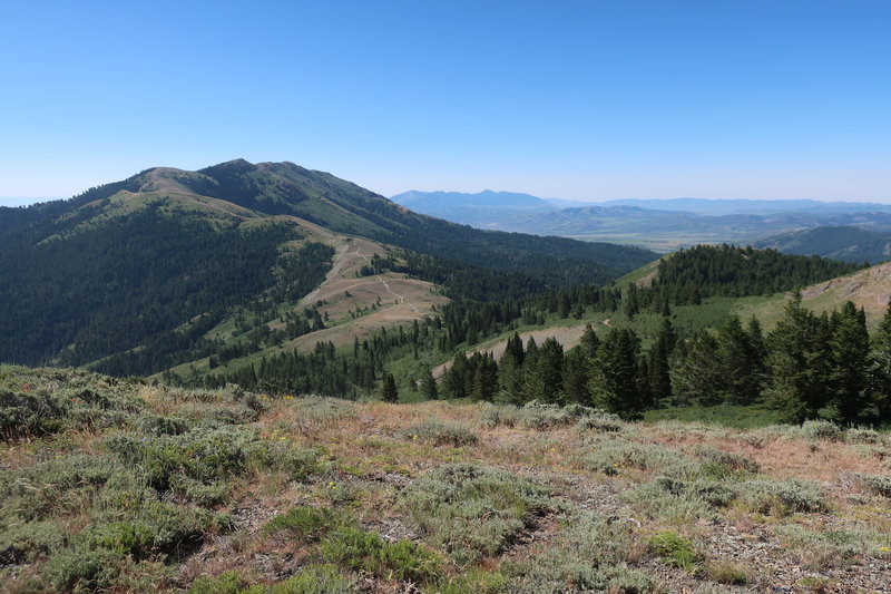 View from southeast end of loop right before singletrack begins.