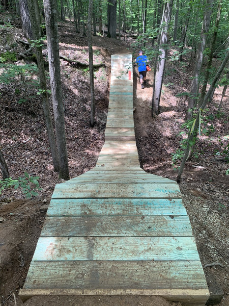 Quick view of the entry to the "Ge-off", the second feature on the Advanced trail at Locust Shade.