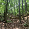 Shortly after completing the build on the "Ge-off", the second feature on the Advanced Trail at Locust Shade