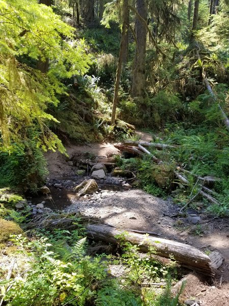 Creek crossing