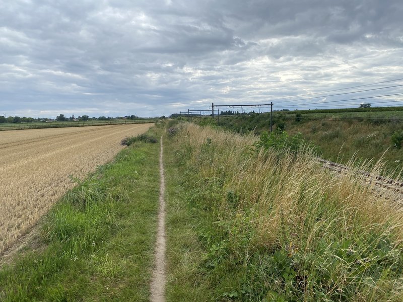 Single trail near the railway line Oudenaarde-Kortrijk