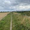 Single trail near the railway line Oudenaarde-Kortrijk