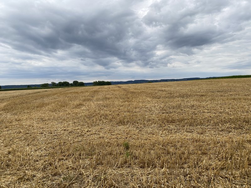 Nice landscape view of Flemish Ardennes passing this viewpoint in Petegem-aan-de-Schelde (bergstraat)