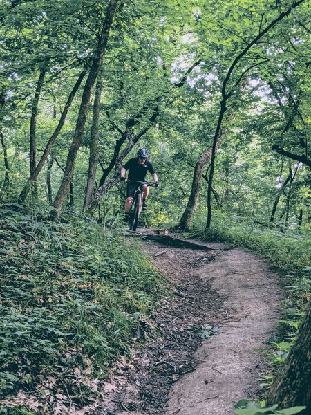 Hillside mountain 2025 bike trail